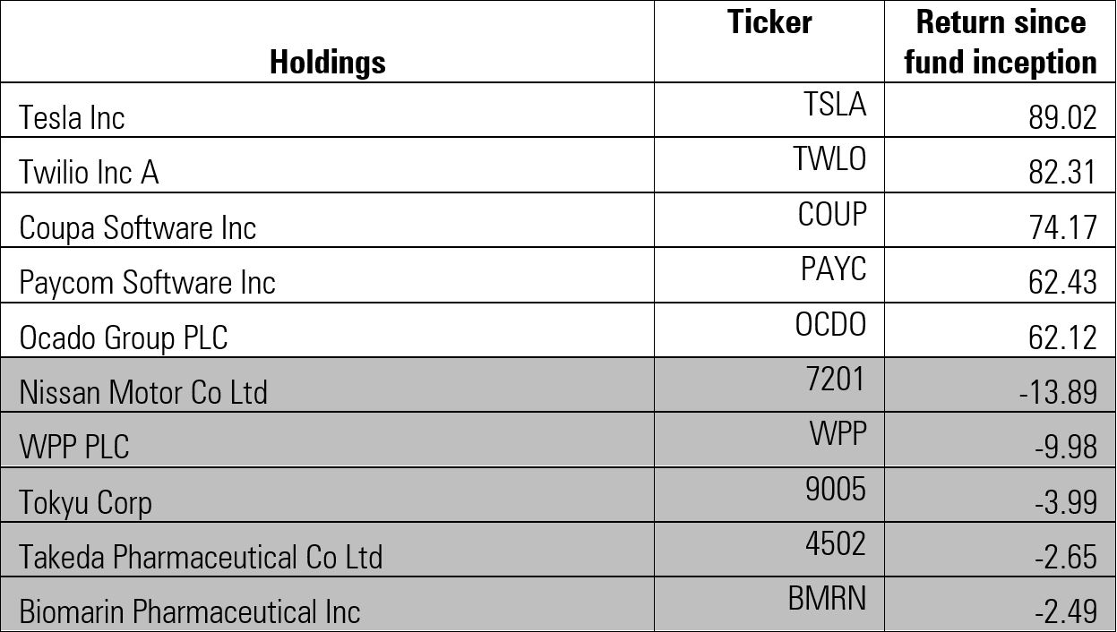 Top and bottom 5 holdings